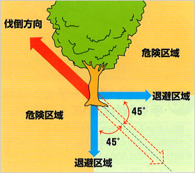 伐倒時は退避区域を確保してください。