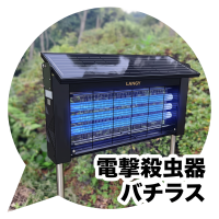 バチラス