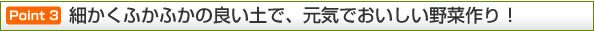 ポイント3 細かくふかふかの良い土で、元気でおいしい野菜作り！