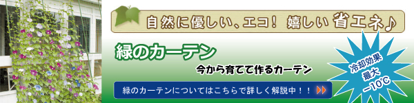 先取り！猛暑に備える夏物特集！！