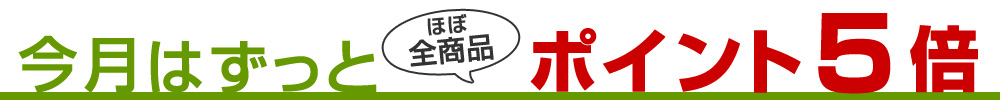 東京戸張株式会社 シンエース（ハウスバンド） 9mm目 20×2 200m 黒 [20個入] H2040 買援隊(かいえんたい)