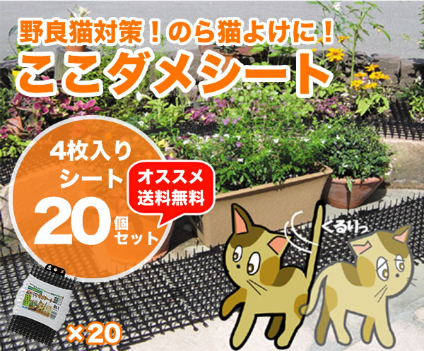 野良猫対策！のら猫よけに！ここダメシート