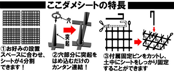 シートの特徴