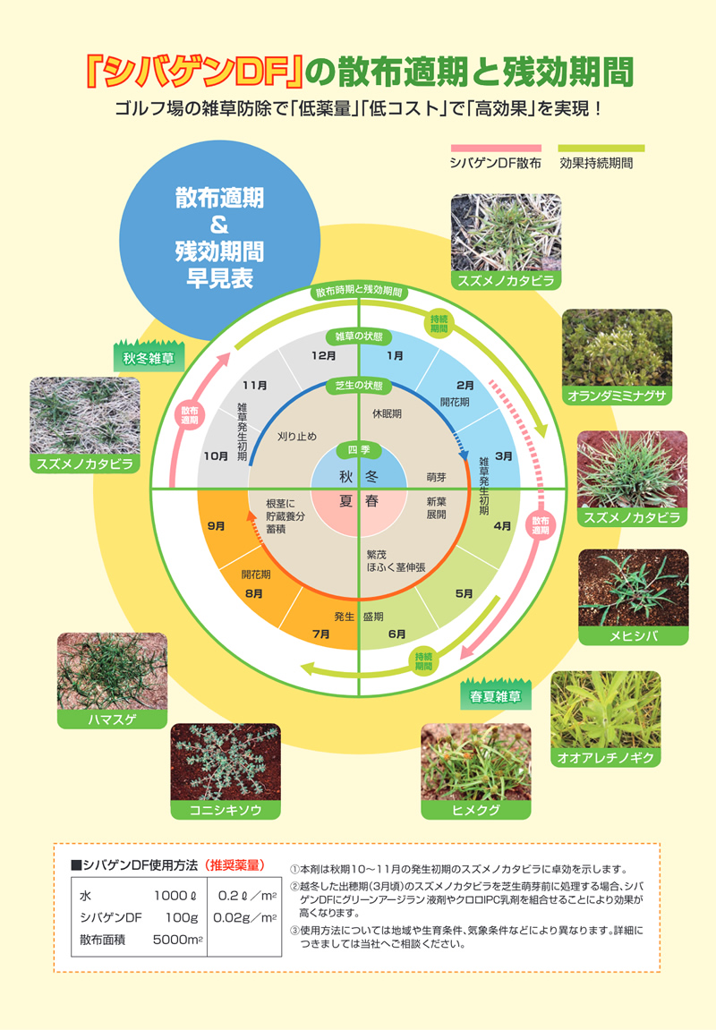 芝生用除草剤・展着剤３点セット