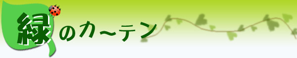 緑のカーテン,よしず,すだれ,グリーンカーテン,熱中症対策