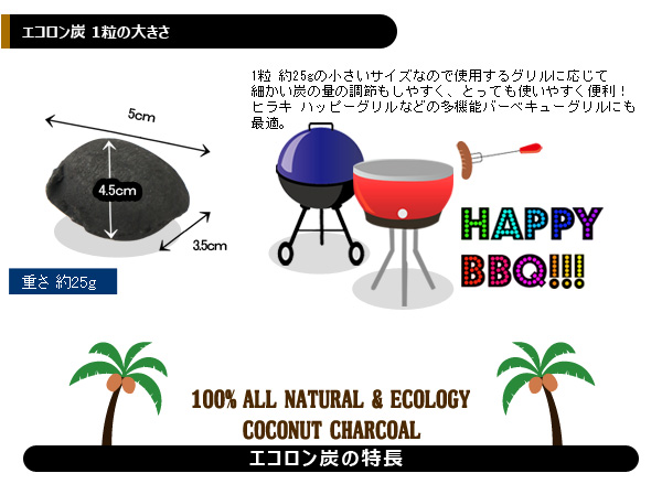 エコロン炭一粒の大きさ