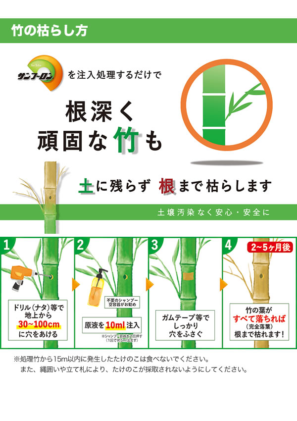 竹の枯らし方、根深く頑固な竹も土に残らず根まで枯らします