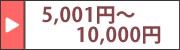 5,001円～10,000円価格の噴霧器を探す